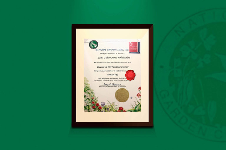 Reconocimiento National Garden Clubs, Inc Lilian Feres