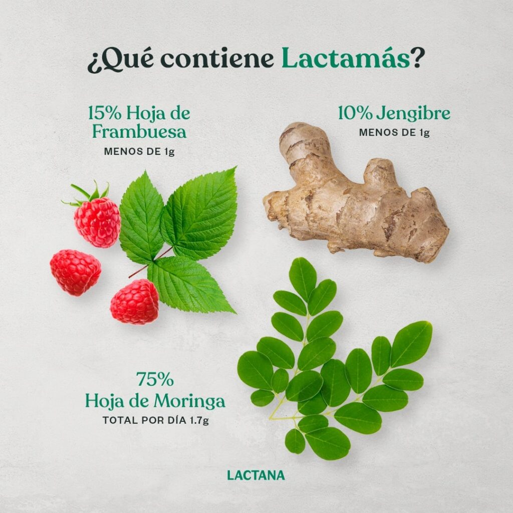 Creacion Contenido Estrategias Marketing Redes Sociales Agencia Creativa Lilian Feres