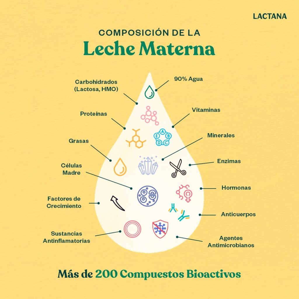 Estrategias Contenido Marketing Digital Redes Sociales Lilián Feres Agencia Creativa