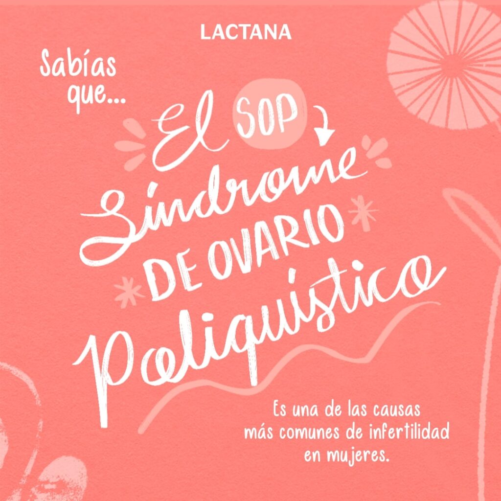 Publicaciones Redes Sociales Lilian Feres Agencia Creativa