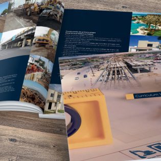Diseño Currículum Empresarial Grupo Desarrollo de Tamaulipas