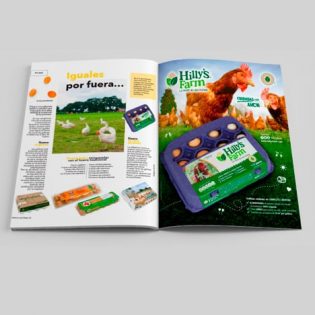 Diseño de Publicidad para Hillys Farm Huevos de Libre Pastoreo San Pedro Garza Garcia y Tampico