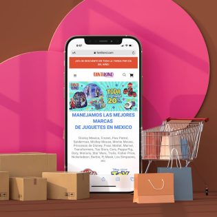 Diseño Desarrollo E-Commerce, Tienda en Linea San Pedro Garza Garcia, Monterrey, Agencia Creativa Lilián Feres
